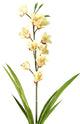 31" Cymbidium Orchid, Set of 3, Light Yellow