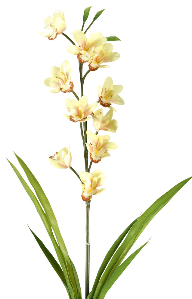 31" Cymbidium Orchid, Set of 3, Light Yellow