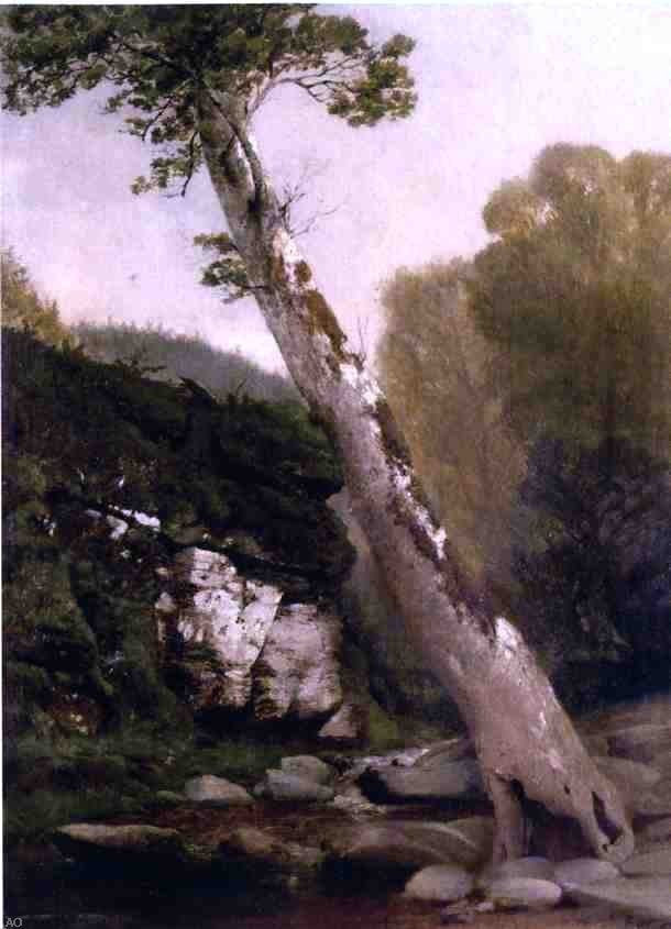 John Williamson Sycamore Catskill Clove Below Haines Falls Gallery Wrap Canvas