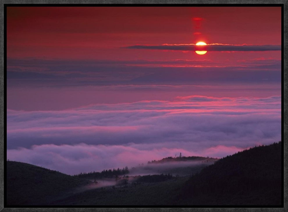 Sunrise At Hurricane Ridge, Olympic National Park, Washington, 16"x12"