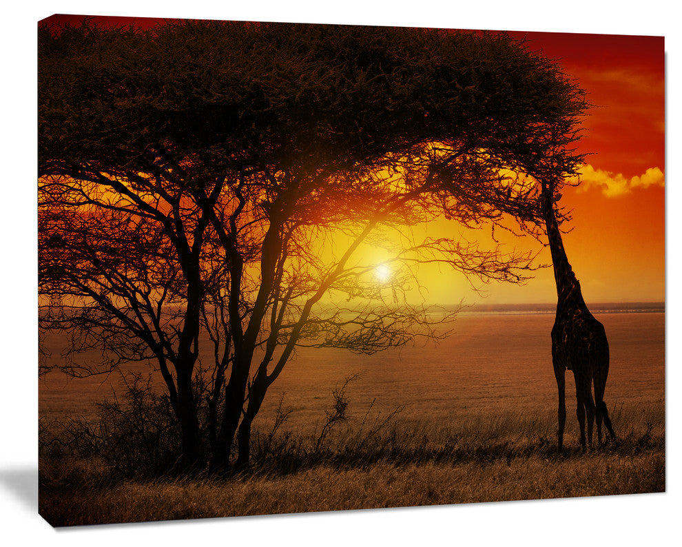 Typical African Sunset with Giraffe, African Landscape Canvas Art, 60"x28"