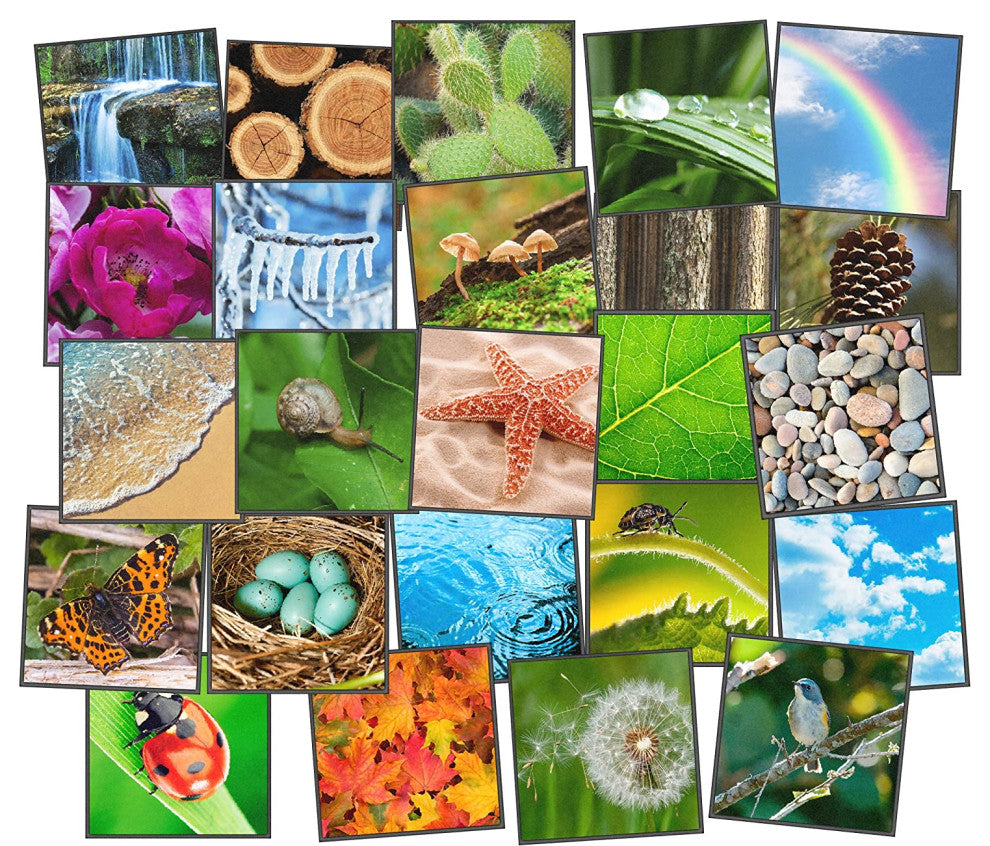 Flagship Carpets VA1012-S24FS 16"X16" Set Of 24 Nature Square Educational Rug