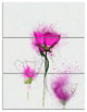 Watercolor Purple Daisy Flowers, Floral Triptych Canvas Print, 28x36, 3 Panels