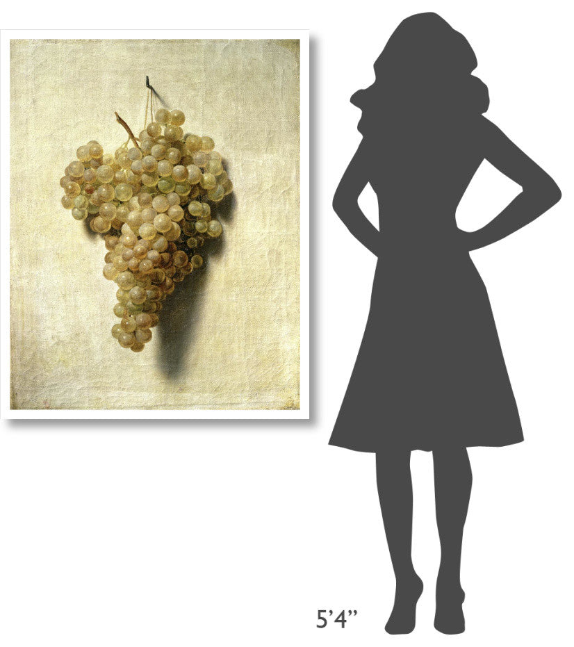 "White Grapes (Raisons Blancs)" Print by Louis Leopold Boilly, 33"x42"