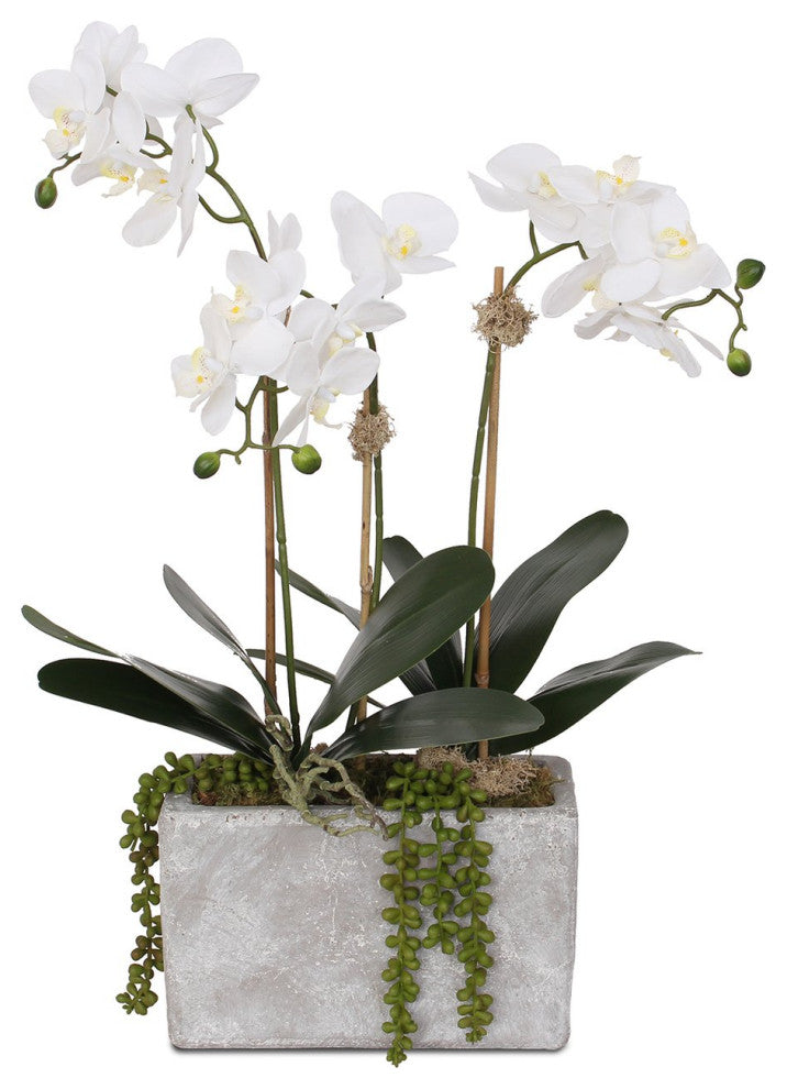 Real Touch Phalaenopsis Orchid, Leaves with String of Pearls in Wash Stone Pot