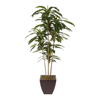 Deluxe Series Medicine Cabinet, 16"x36", Stainless Steel Frame, Recessed