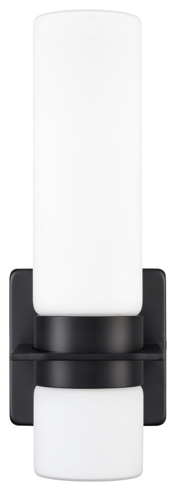 LED Light 4.25 in. Matte Black Outdoor