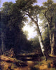 Asher Brown Durand A Creek in the Woods, 20"x25" Wall Decal Print