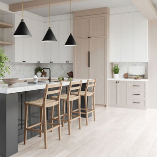 Capital Lighting Bradley 1-Light Pendant 350112AB Aged Brass and Black