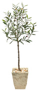 52" Olive Artificial Tree, Country White Planter