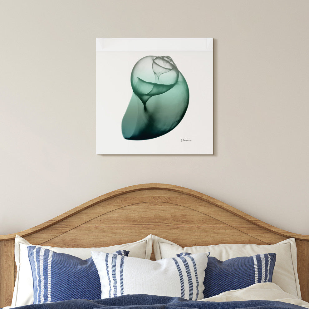 "Shimmering Snail I" Wall Art on Frameless Free Floating Tempered Glass Panel