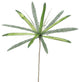 Vickerman 24" Papyrus, 20" Flower, Set of 3, Lime