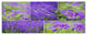 Blue Spring Flowers Collage, Floral Canvas Art Print, 70"x28", 6 Panels