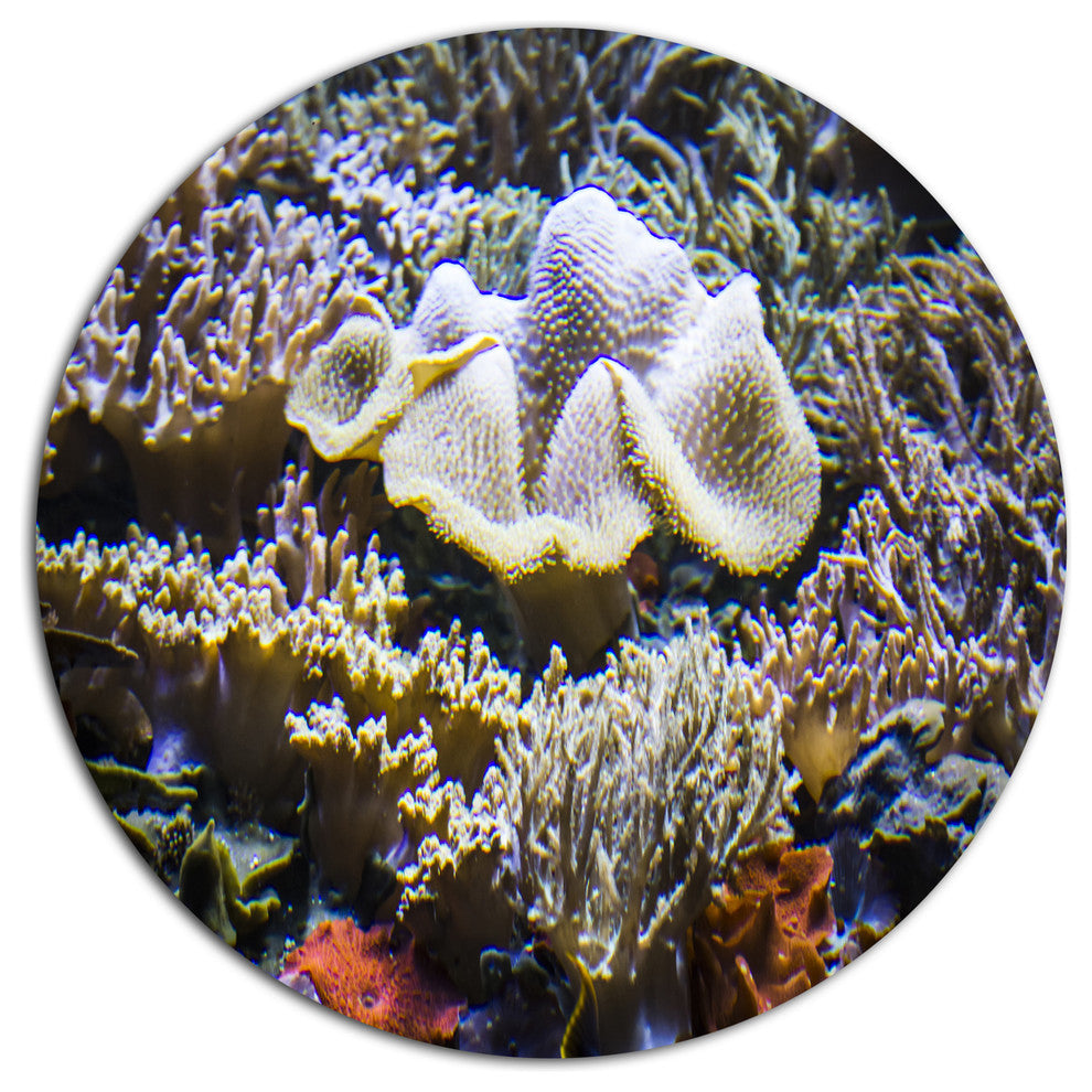 Beautiful Seabed With Fish, Landscape Disc Metal Wall Art, 11"
