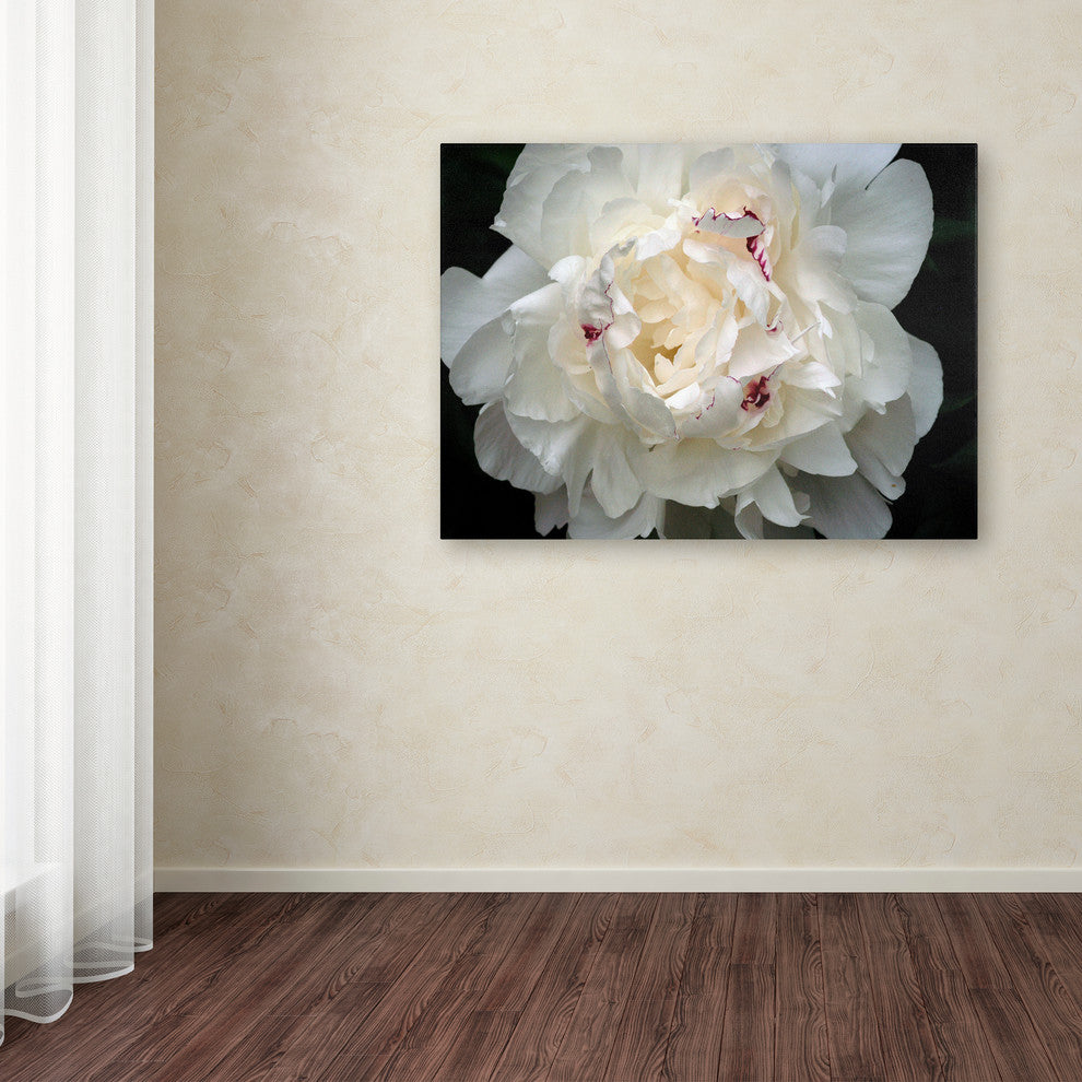 'Perfect Peony' Canvas Art by Kurt Shaffer