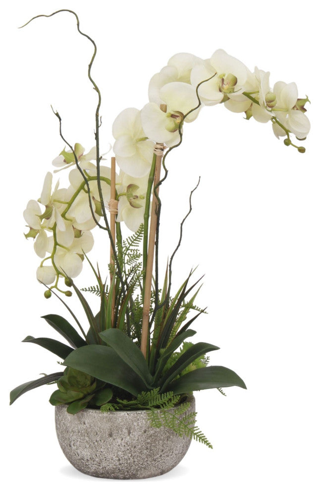 Cream/Green Orchids Flower Arrangement, Round Pot