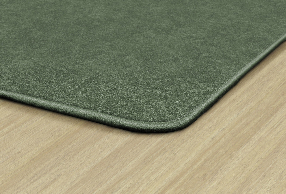 Flagship Carpets TS-34SG Amerisoft Sage Green
