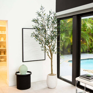 Lifestyle image showing the plant in a decor setting near a window.