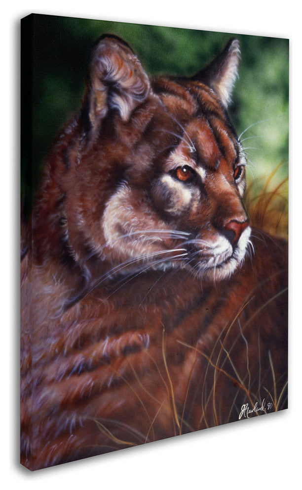 Jenny Newland 'Watchful Eyes II' Canvas Art, 32x24