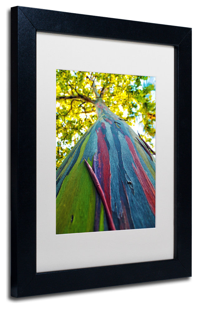 CATeyes 'Rainbow Eucalyptus Tree', Black Frame, White Mat, 14x11