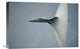 "Cone" Stretched Canvas Giclee by Darek Siusta, 22x15"