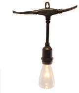 Electric String Lights, Commercial Grade Edison Style, 12-Light