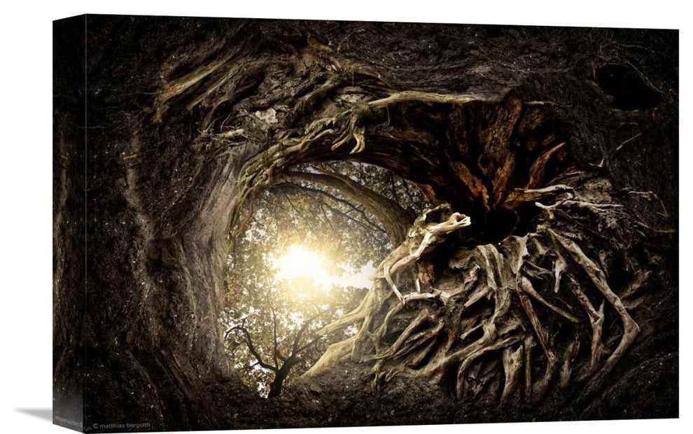 "Under The Trees #1" Stretched Canvas Giclee by Matthias Bergolth, 16"x11"