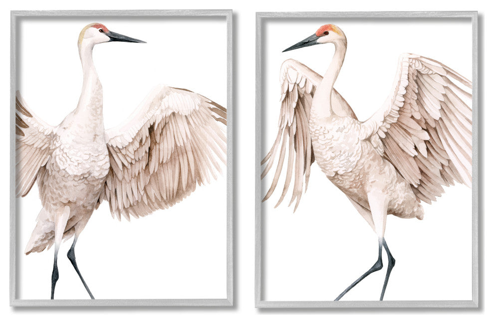 Simple White Crane Birds Standing Open Wings Illustration, 2pc, each 16 x 20