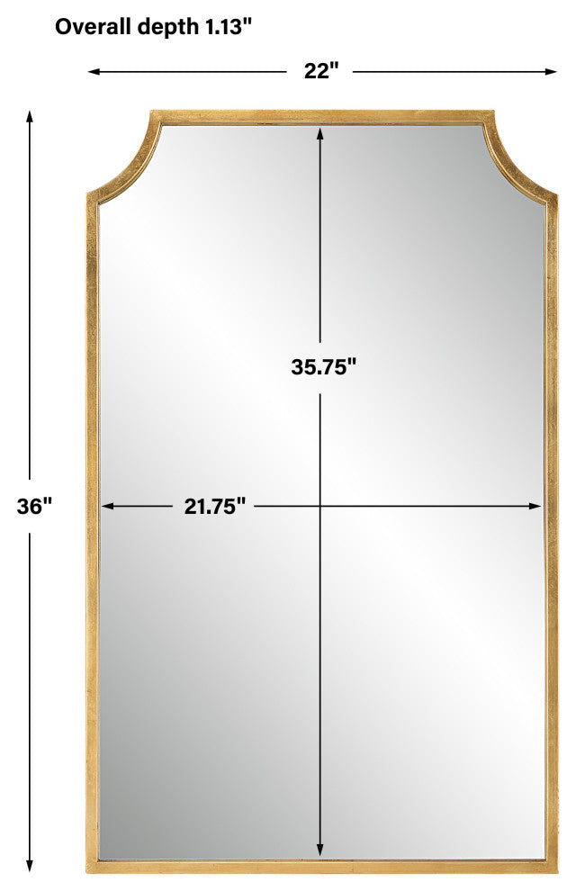 Contemporary 22" x 36" Iron Gold Leaf Mirror