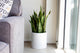 Root And Stock Brea Round Cylinder Planter, Grey, D:14" X H:14"