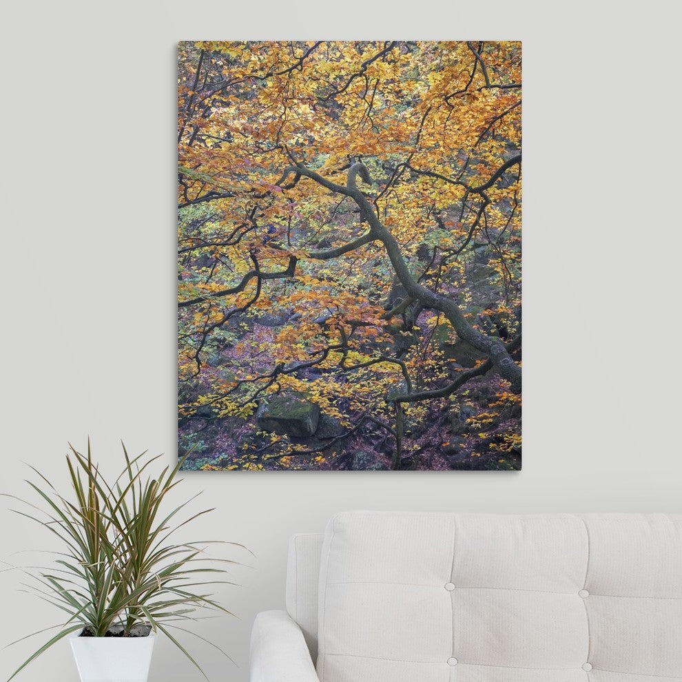 "Falls Reach" Wrapped Canvas Art Print, 24"x30"x1.5"