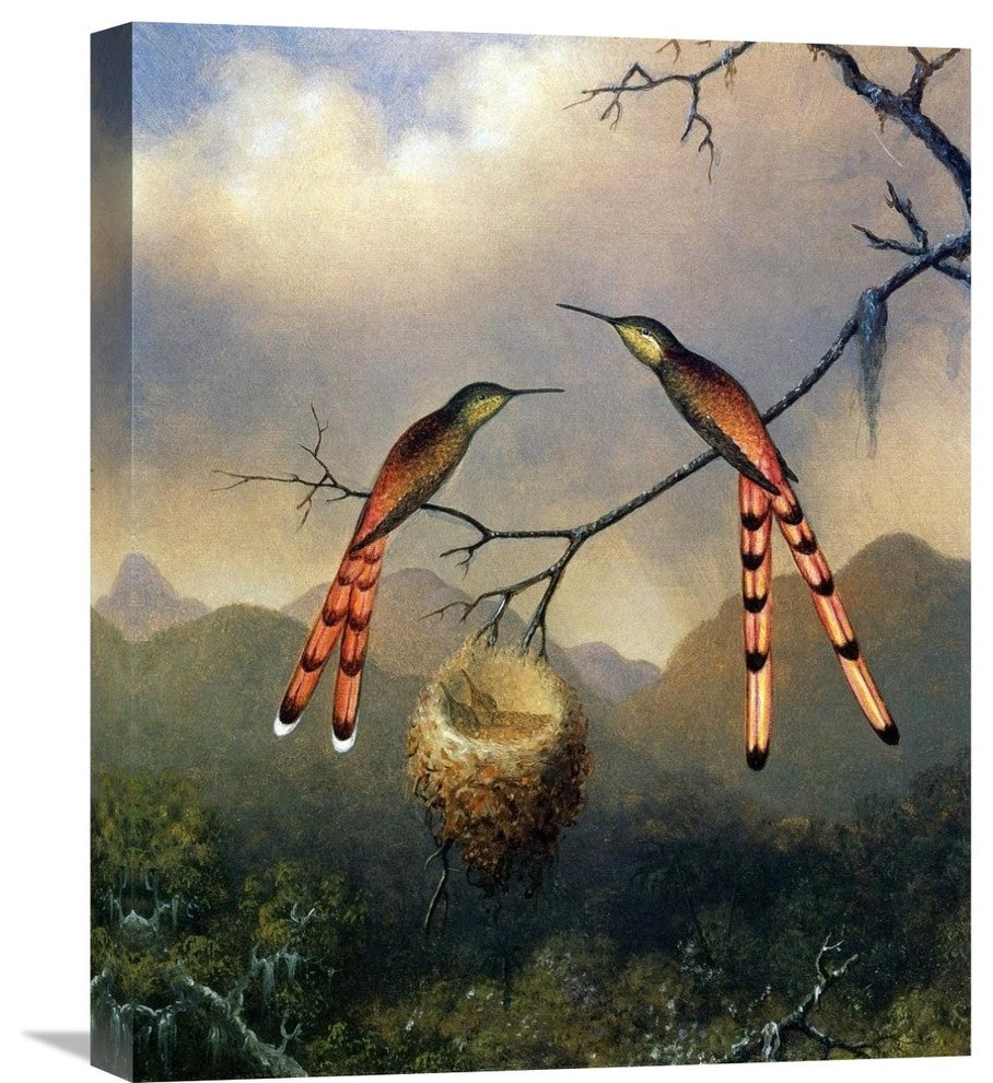 "Two Hummingbirds With Their Young" Artwork