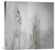 "Blade Of Grass" Stretched Canvas Giclee by Gilbert Claes, 22"x22"