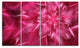 Rotating Fractal Pink Fireworks, Floral Canvas Art Print, 48"x28", 4 Panels