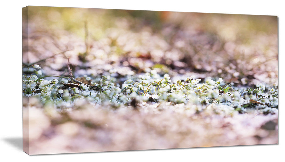 Little White and Pink Flowers, Large Flower Canvas Art Print, 32"x16"