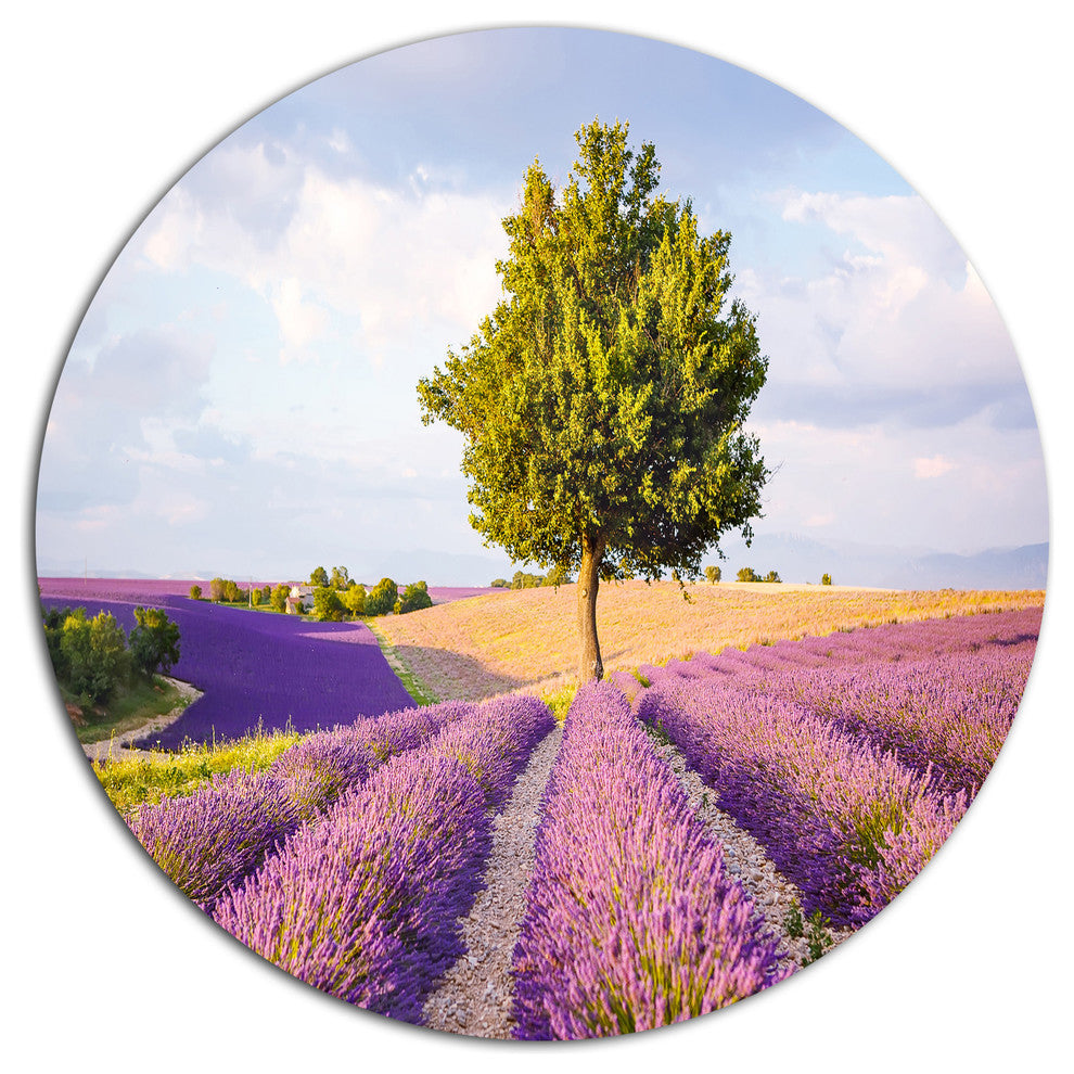 Lonely Green Tree In Lavender Field, Landscape Round Wall Art, 11"