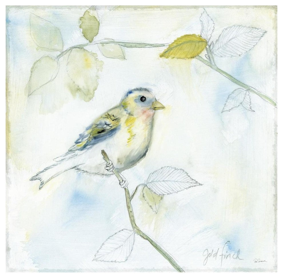 "Sketched Songbird I" Digital Paper Print by Sue Schlabach, 32"x32"
