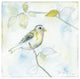"Sketched Songbird I" Digital Paper Print by Sue Schlabach, 32"x32"
