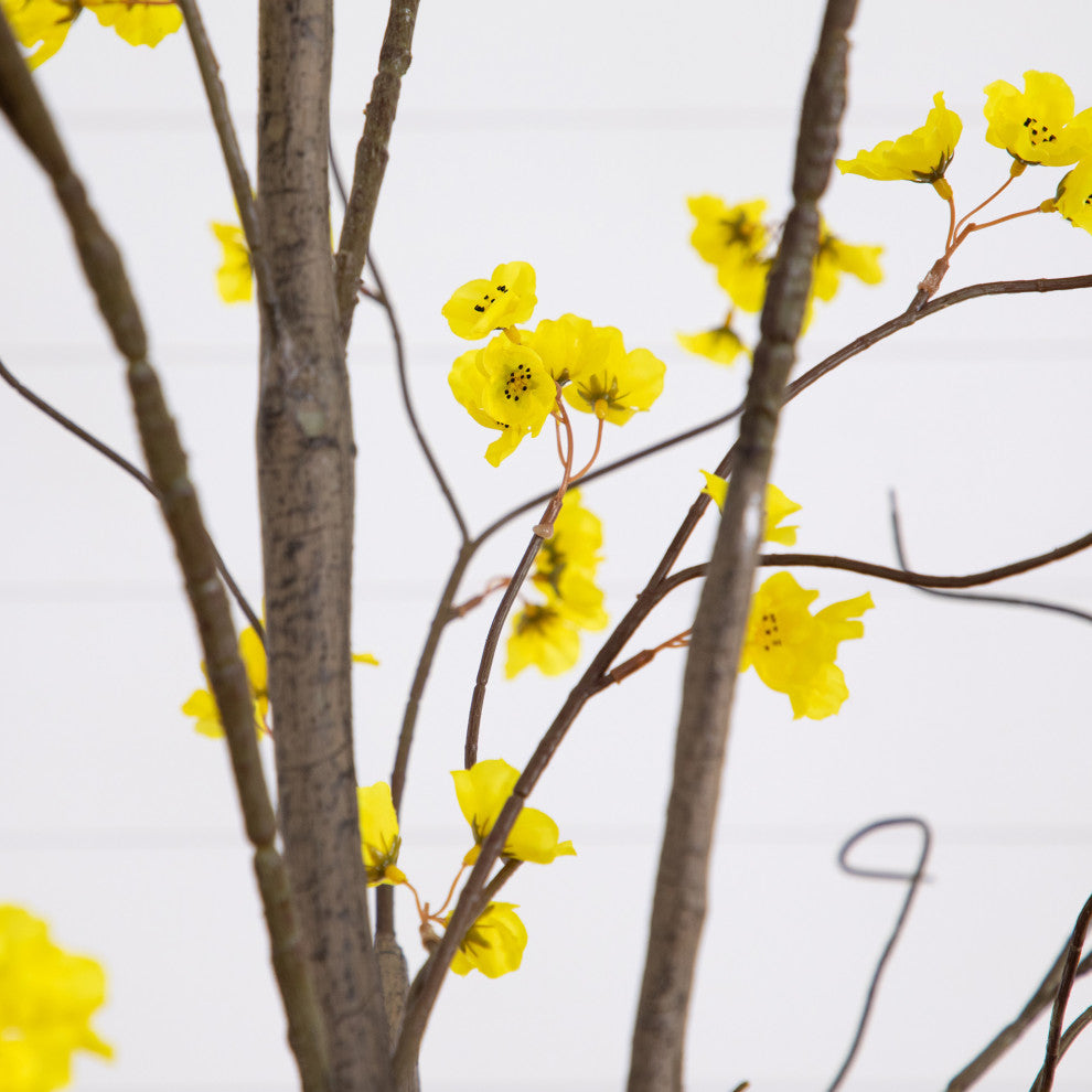 White background close-up of blossoms/branches (cropped view)