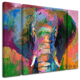 "Elephant 2" Multi-Panel Canvas Art Set by Richard Wallich