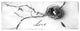 "Nest and Branch II Love" Digital Paper Print by Debra Van Swearingen, 42"x16"