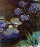 Claude Oscar Monet Water-Lilies and Agapanthus Wall Decal Print