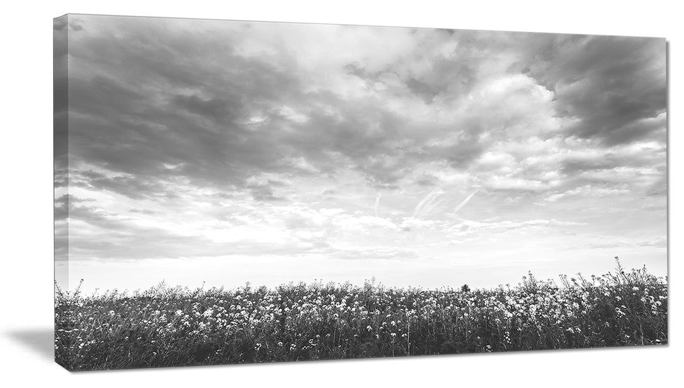 Rapeseed Garden in Black and White, Large Landscape Canvas Art, 32"x16"
