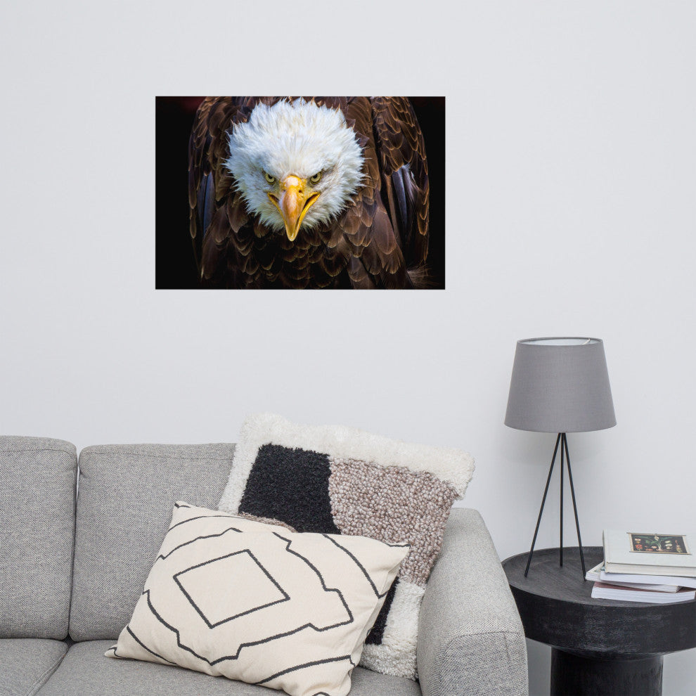 Bald Eagle Portrait Close-up Loose Wall Art Print, 24" X 36"