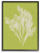 Coral Seaweed Green White Beach Design, 11"x14", Black Frame