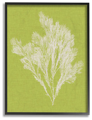 Coral Seaweed Green White Beach Design, 11"x14", Black Frame