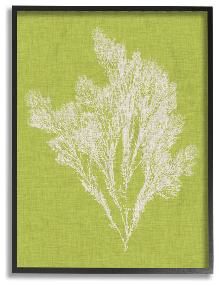 Coral Seaweed Green White Beach Design, 11"x14", Black Frame