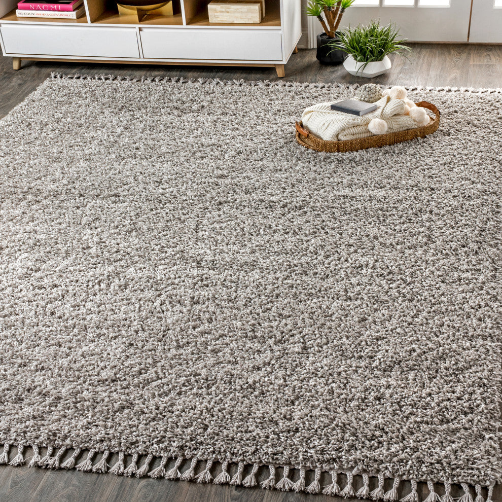 Mercer Shag Plush Tassel Area Rug, Grey, 3 X 5