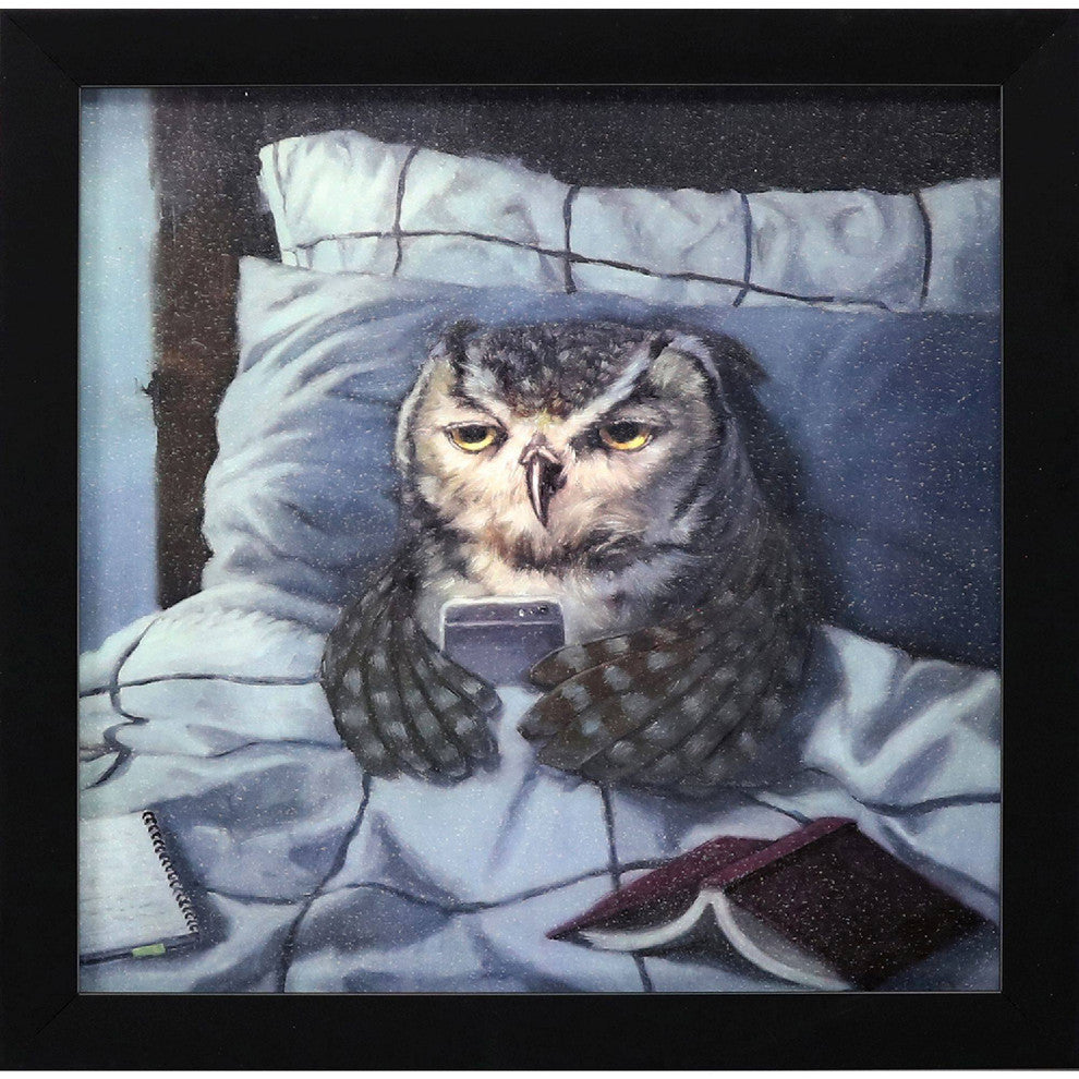 Night Owl Non-Glass Framed Art