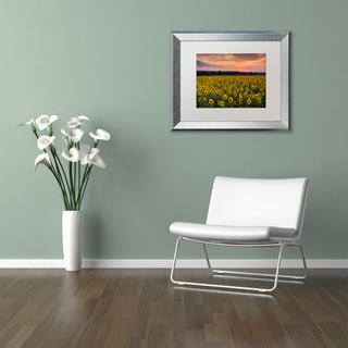 Blanchette Photography 'Sunflower Taps', Silver Frame, White Matte, 20"x16"